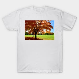 Sunlit Autumn Trees T-Shirt